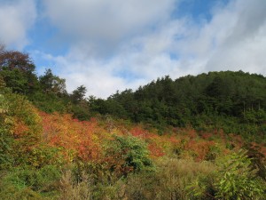 薪ストーブ 葛巻町 1