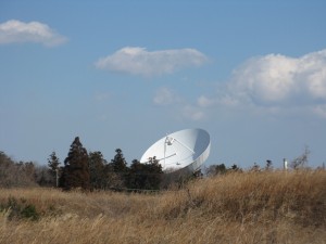 IMG_6572