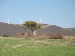 IMG_6177