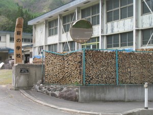 IMG_6294