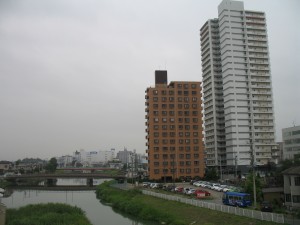 IMG_6529