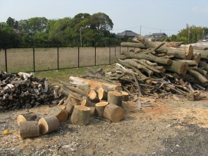 薪ストーブ東京F39