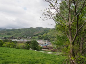 薪ストーブ東京G15