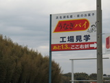浜松市 7