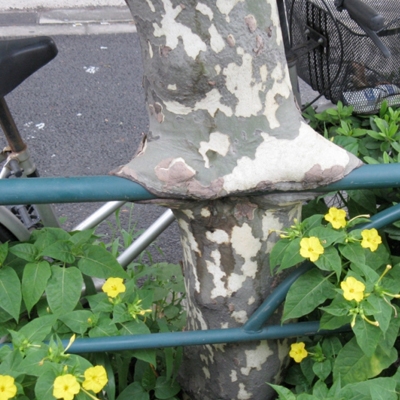 薪ストーブ屋の近くの珍名所？続編