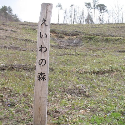 行ってきました！　植樹祭