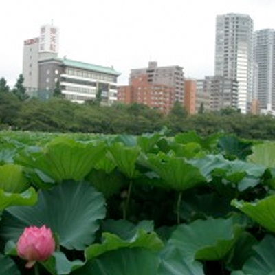 薪ストーブ屋の夏休み・・・