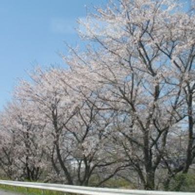 薪ストーブ設置工事　千葉県　どこにする・・・