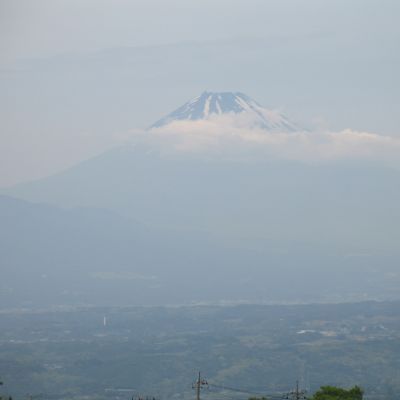 薪ストーブ屋の･･･王室御用達自転車で
