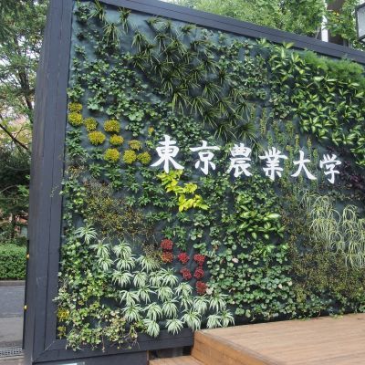 薪ストーブ屋の休日　行列・・・