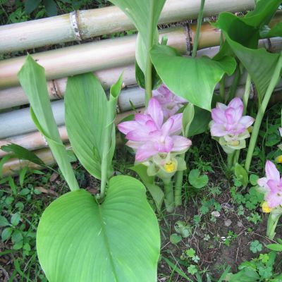 倉庫に・・