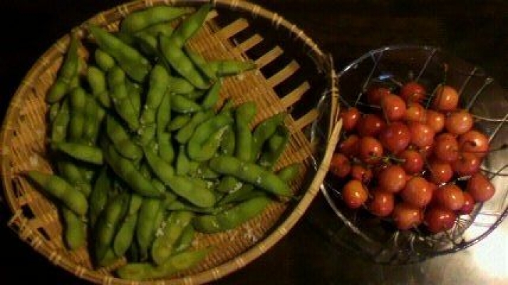 薪ストーブ屋の夏はスタミナ勝負