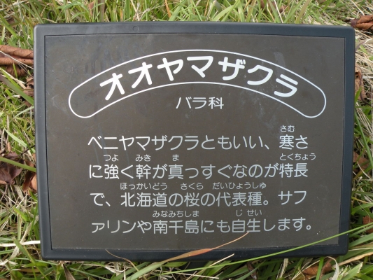 薪の産地だより