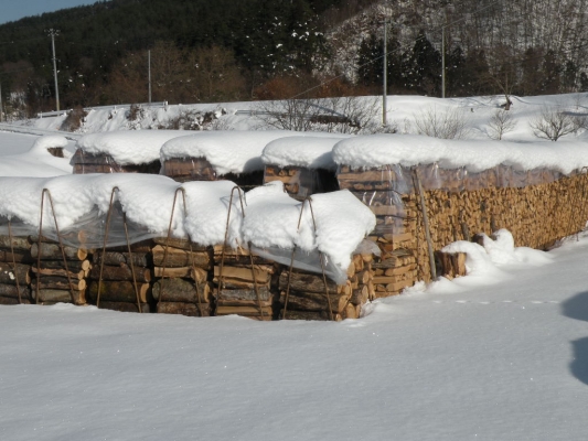 薪ストーブの薪・生産地便り