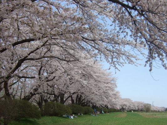 薪ストーブ・永久に