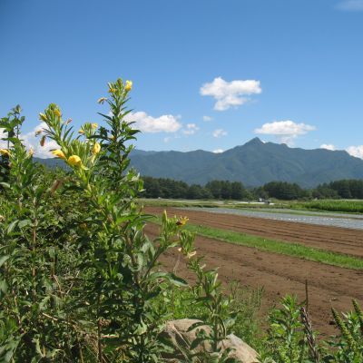 メンテナンス　長野～山梨県　涼しい　その２