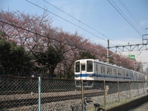 薪ストーブ屋　春・・・