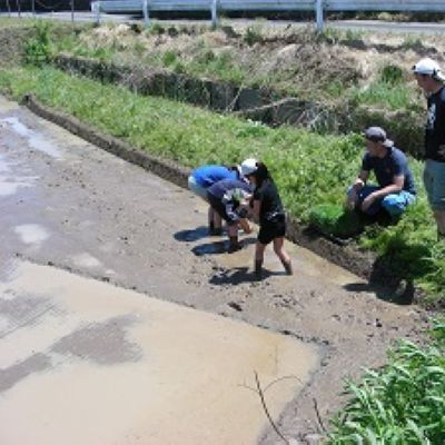 田植え？？？