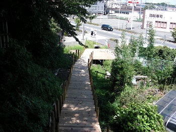 自然素材・・・