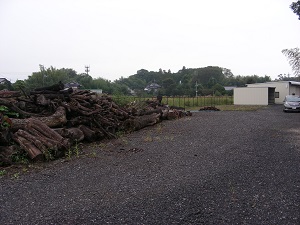 小雨に煙る・・・・
