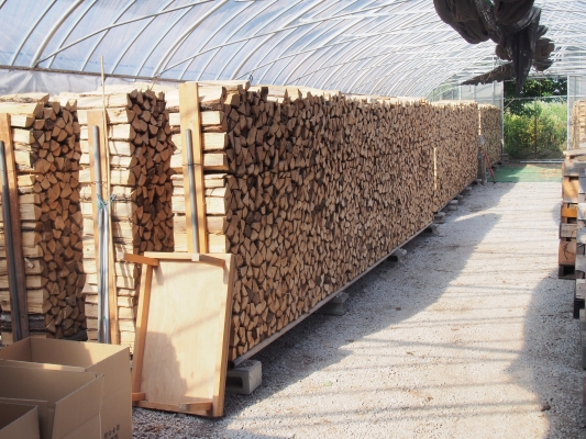 秋の薪生産地訪問　その１
