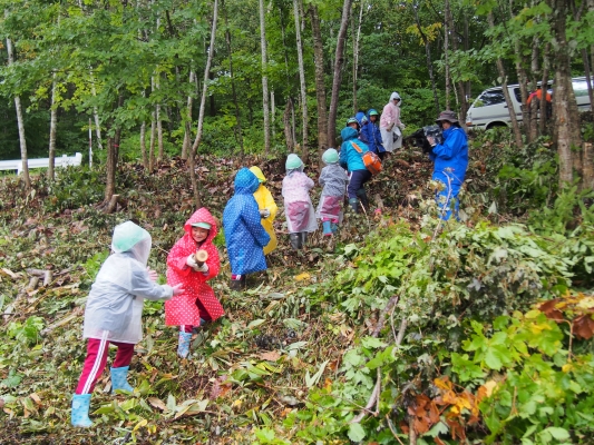 秋の薪生産地訪問　その２