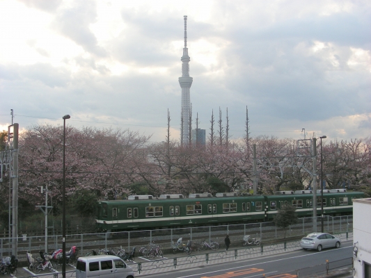 いよいよ・・・