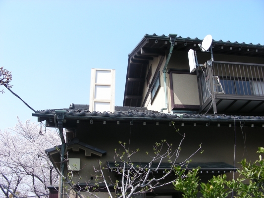 こちらも満開の中・・・