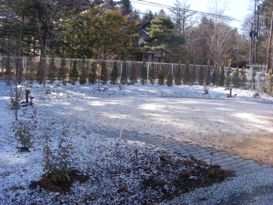 こちらもうっすらと・・・