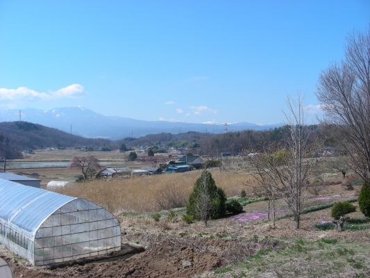 のどかな風景・・・