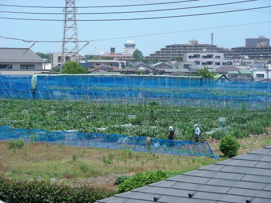 住宅地の中に・・・