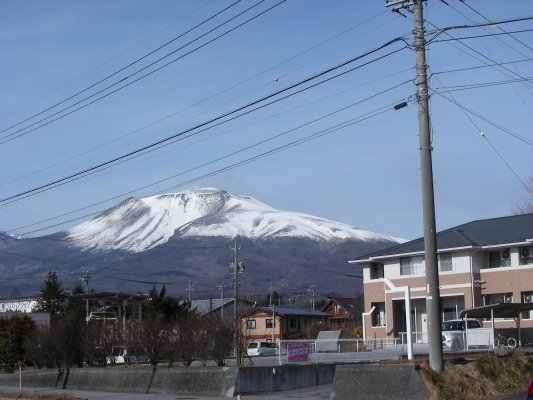 暖冬・・・　その２