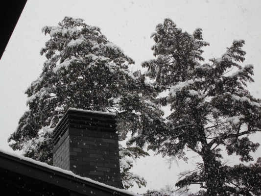 季節外れの雪の日