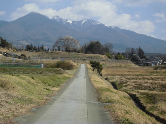 のどかな田園風景