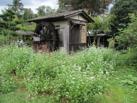 水車小屋・・・