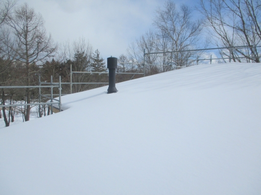 雪の中・・・