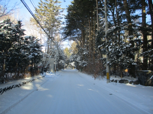 雪・・・