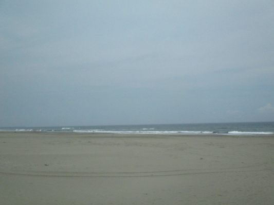 長～い砂浜・・・