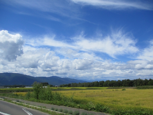 少しは・・・