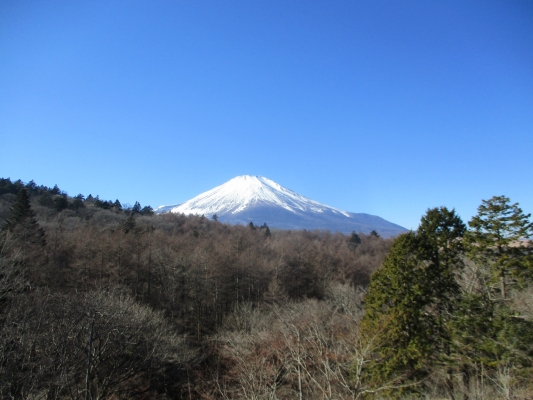 今年最初の・・・