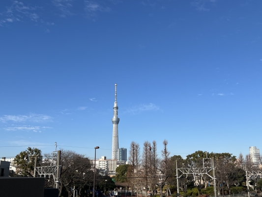 こわっ