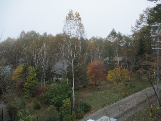紅葉には・・・