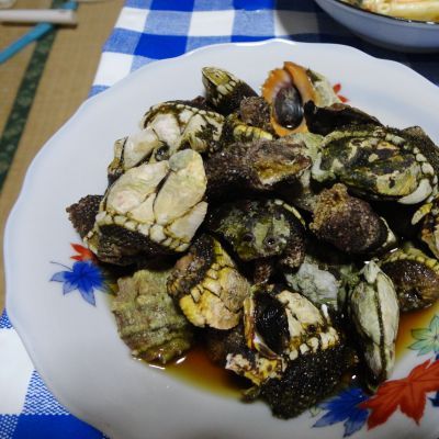 薪ストーブ屋  in　屋久島パート３