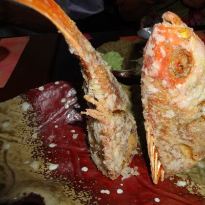 薪ストーブ屋 in 屋久島パート4