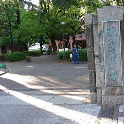 薪ストーブ屋 in 東京農大