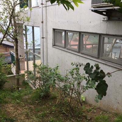 薪ストーブ屋の･･･下見