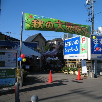 秋の大感謝祭で薪割り体験会・・・