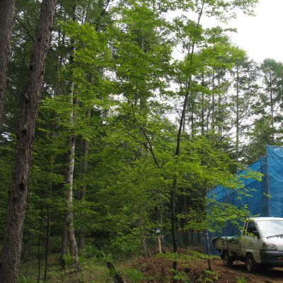 薪ストーブ設置工事　長野県　森林浴・・・