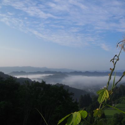 薪ストーブ屋の夏休み・・・