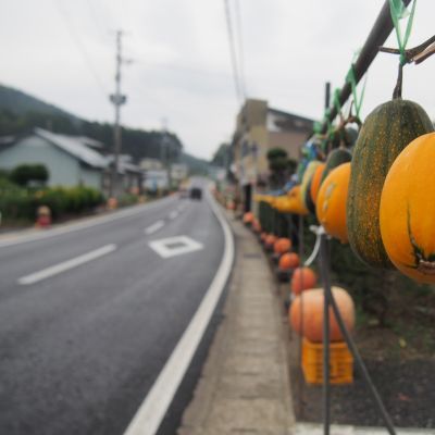 行って来ました・・・　薪生産地　その３